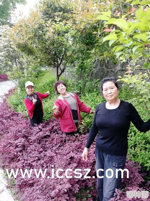 逃脱~孕妇精灵与森之馆预告片：传闻主角将揭示隐藏的家族秘密，剧情反转引发观众热议！