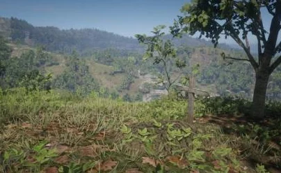 东北老阿姨荒野大镖客：在游戏中展现独特的东北文化与幽默，带来别样的娱乐体验和情感共鸣