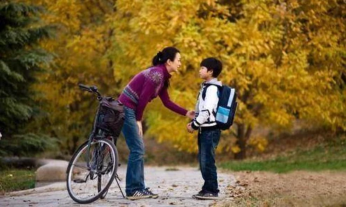 探索后妈的桃花源作文：在家庭关系中寻找温暖与理解的旅程