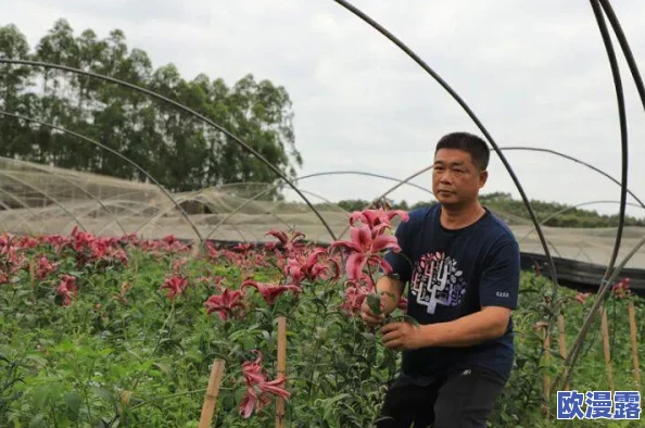 木瓜奇迹游戏中圣导师角色如何高效加点：详细加点方法解析