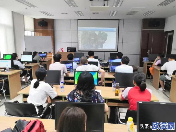 免费精品人在线二线三线区别：深入分析各类平台的特点与用户体验差异，助你选择最适合的服务