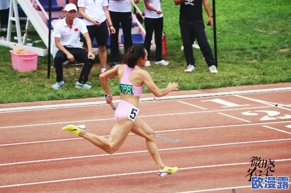 长白光阴渺渺体育课抓单杠，学生们在阳光下挥洒汗水，展现青春活力与团队精神的精彩瞬间