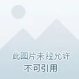 塔防精灵好友邀请码：获取最新活动信息，邀请好友一起畅玩游戏，共享丰厚奖励与乐趣！