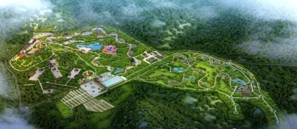 人与嘼一区二区三区：探讨人类与动物之间的关系及其对生态系统的影响与启示