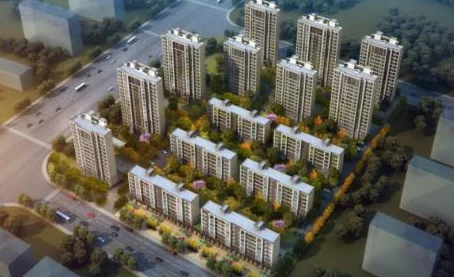 人与嘼一区二区三区：探讨人类与动物之间的关系及其对生态系统的影响与启示