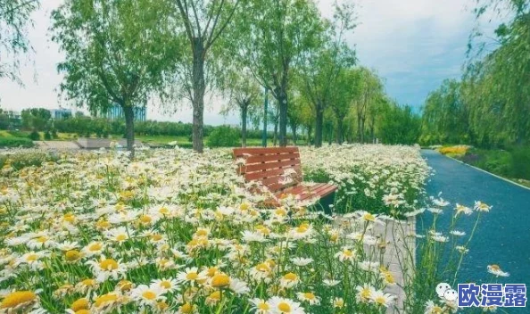 人与嘼一区二区三区：探讨人类与动物之间的关系及其对生态系统的影响与启示