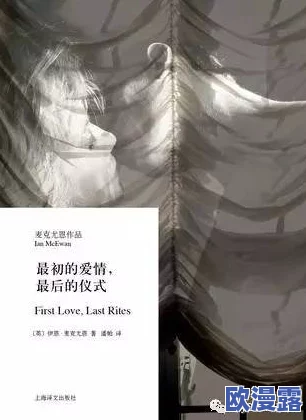 爽欲亲伦小说杂烩下，网友们纷纷表示这种题材虽然吸引眼球，但情节往往缺乏深度和新意