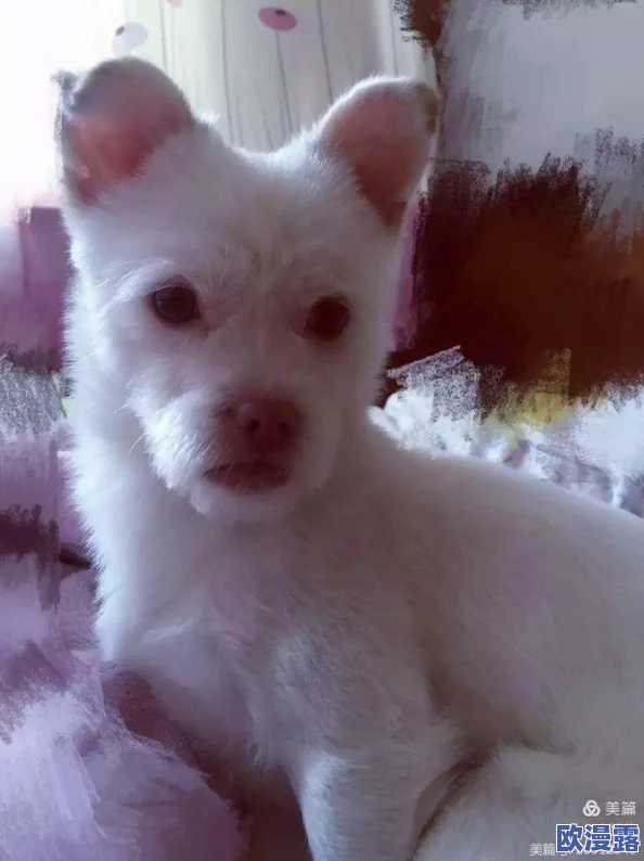 女人的屁股眼扒开无遮挡，最新进展：相关研究揭示其对健康的影响及社会文化背景分析