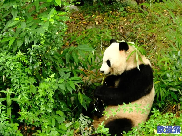 女人的屁股眼扒开无遮挡，最新进展：相关研究揭示其对健康的影响及社会文化背景分析