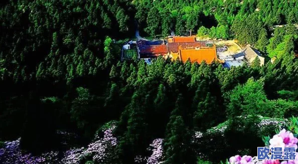 桃源仙境手游药师职业加点全攻略：2智3意分配建议深度解析