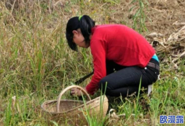 饥渴老寡妇小伙子视频引发热议，网友纷纷表达对内容的看法，有人认为这是对社会现象的反映，也有人感到不适