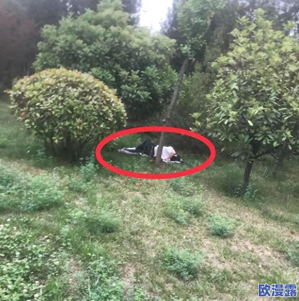 情侣凉亭大尺度野战，许多网友对此表示震惊，认为公共场合不应进行私密行为，影响他人观感