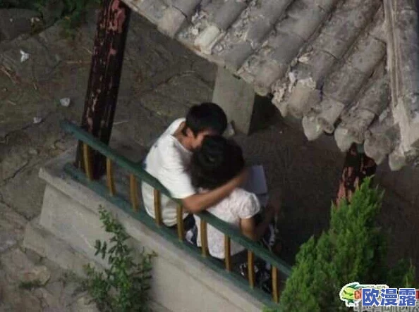 情侣凉亭大尺度野战，许多网友对此表示震惊，认为公共场合不应进行私密行为，影响他人观感