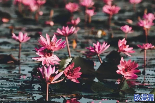 fi11cnn实验室隐藏入口被发现,内部秘密令人震惊,科学界为之哗然! fi11cnn实验室隐藏入口被发现,内部秘密令人震惊,科学界为之哗然!