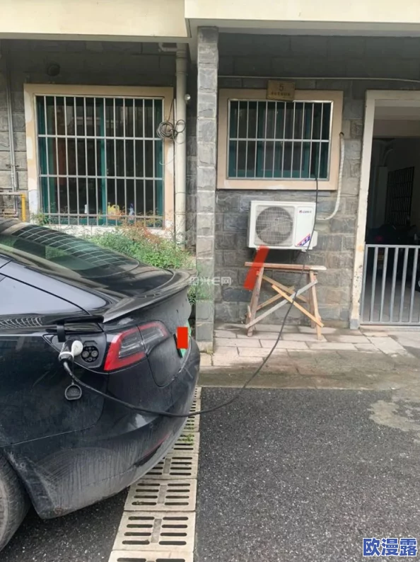 91污网站最新动态：用户反馈与内容更新引发热议，平台安全性和隐私保护措施备受关注