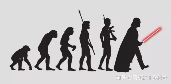 人马进行交流配对：最新研究揭示人类与马之间的情感连接及其对训练效果的影响