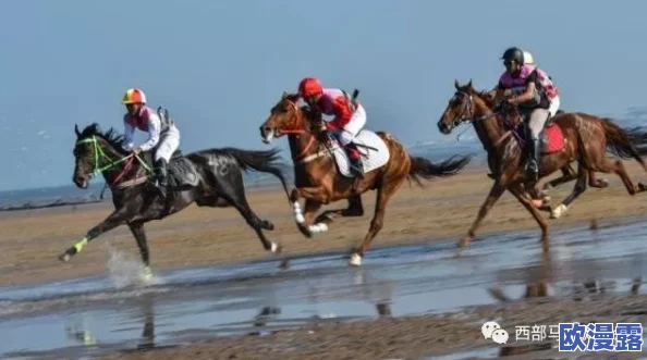 人马进行交流配对：最新研究揭示人类与马之间的情感连接及其对训练效果的影响