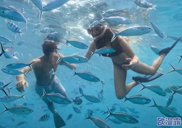 成年人一级片:最新动态揭示成人内容行业的变化与挑战,探讨法律法规对市场的影响及未来发展趋势 成年人一级片:最新动态揭示成人内容行业的变化与挑战,探讨法律法规对市场的影响及未来发展趋势