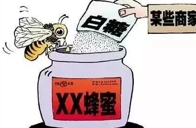 废土危行头晕掉血问题全解析：吃花与蜂蜜的实用解决方法