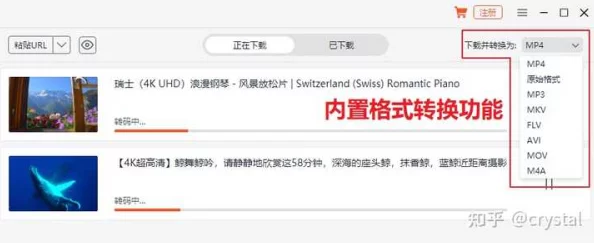 9 1免费版视频下载软件有哪些？常见软件下载渠道与使用技巧大揭秘，助你轻松获取所需视频资源