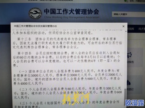 被公连续侵犯中文字幕：最新动态显示该事件引发了广泛关注，相关部门已介入调查并采取措施
