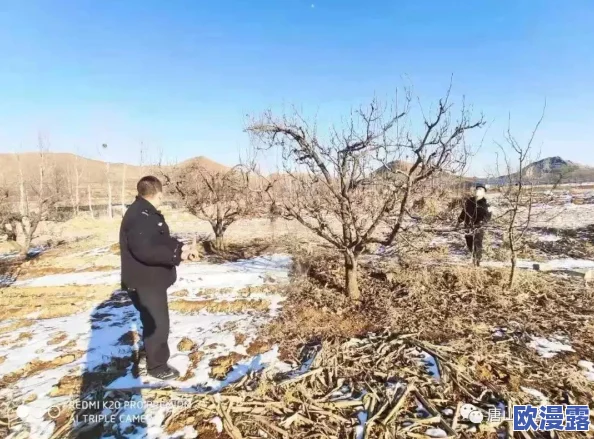 无遮挡污视频：最新动态揭示了该类内容在网络平台上的传播现状及相关法律法规的更新情况