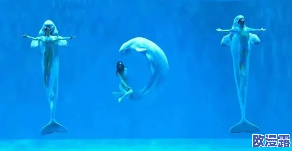 探索ssni802三上悠亚未删减版的精彩内容与背后故事 探索ssni802三上悠亚未删减版的精彩内容与背后故事