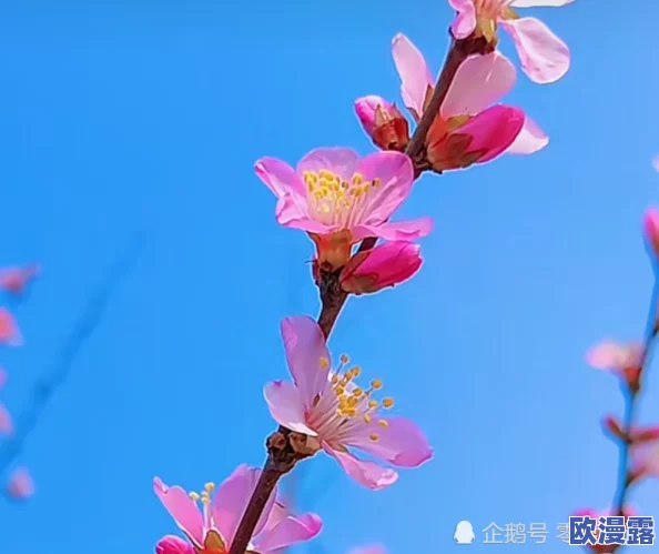 探索高H情节中的失禁与粗壮角色的心理动态：一场欲望与禁忌交织的奇妙旅程