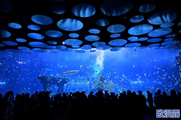 探索多元文化:亚洲色图视频在线观看带你领略不同风情与艺术魅力 探索多元文化:亚洲色图视频在线观看带你领略不同风情与艺术魅力