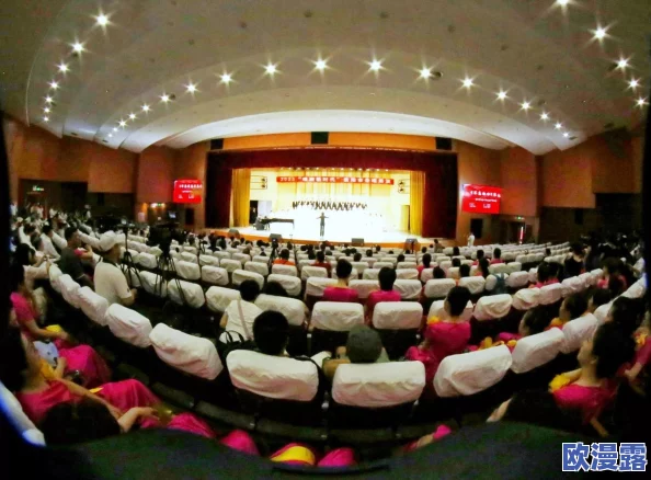 探索国产精品DVD的魅力：从经典影视到独特文化，带你领略不一样的视听盛宴与消费体验