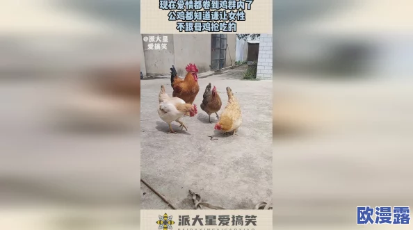 男人捅女人的鸡鸡，警方介入调查事件背后的真相与社会反响引发广泛关注和讨论