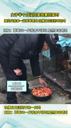 男人捅女人的鸡鸡，警方介入调查事件背后的真相与社会反响引发广泛关注和讨论