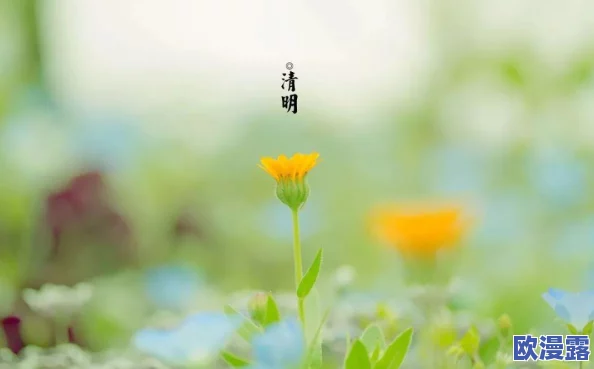 探索亚洲久久天堂：感受多元文化与自然美景的完美结合之旅