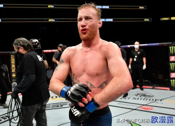 热血王座深度解析：装备星级系统全面解读与详细拆分指南