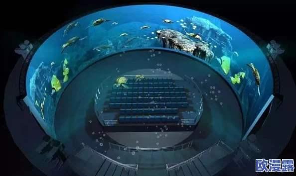 探索日本三级网站在线线观看的独特魅力：沉浸式体验与文化碰撞的完美结合