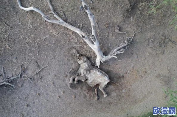 满18点此安全转入2022大象,真是个有趣的活动,希望能带来更多惊喜! 满18点此安全转入2022大象,真是个有趣的活动,希望能带来更多惊喜!