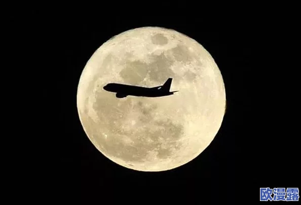 最囧游戏4第24关通关秘籍：高效找不同技巧大揭秘与攻略指南