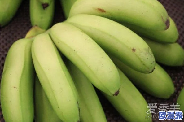 大尹香蕉：这款香蕉真是太好吃了，口感细腻，甜度刚好，让人一试成主顾！