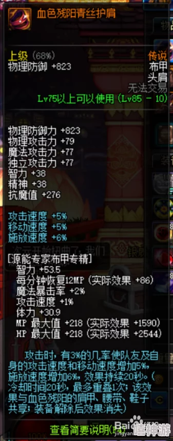 DNF游戏中哪个肩膀装备具有回血特效深度解析