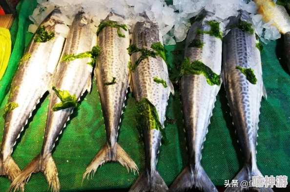 探索创造与魔法游戏中鲅鱼的用途及垂钓地点详解 探索创造与魔法游戏中鲅鱼的用途及垂钓地点详解