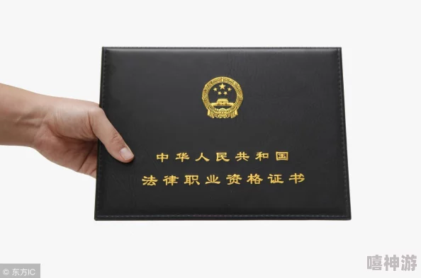 ACCA少女网课照片2023：展现年轻学子的学习热情与追求卓越的精神风貌，激励更多人投身于财会行业