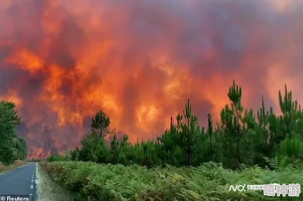 法国老人做交易森林,出售私人林地以支持可持续发展和保护生态环境的创新举措引发关注 法国老人做交易森林,出售私人林地以支持可持续发展和保护生态环境的创新举措引发关注