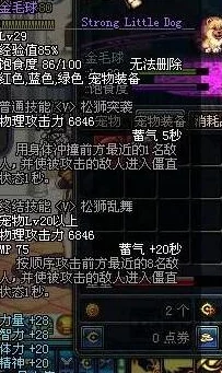 DNF游戏中哪个宠物具备暴走技能及其效果解析 DNF游戏中哪个宠物具备暴走技能及其效果解析