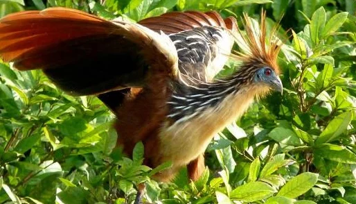 三角洲行动新手玩家推荐选择的武器类型指南 三角洲行动新手玩家推荐选择的武器类型指南