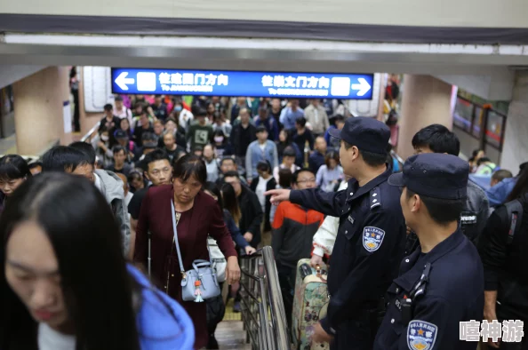 张警犬9分10秒头撞玻璃网盘，勇敢执法展现忠诚精神与无畏担当，引发网友热议与感动