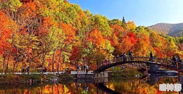 日本xxxxxx:这里的美景和文化让人心旷神怡,令人流连忘返 日本xxxxxx:这里的美景和文化让人心旷神怡,令人流连忘返