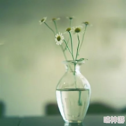 公交车上的诗请晴：在城市的喧嚣中，寻找那一抹温暖与宁静的瞬间