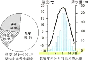 日中黄色大片：探讨这一现象对生态环境的影响及其背后的成因与未来发展趋势