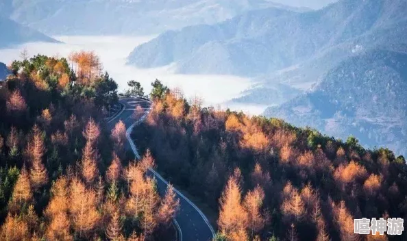 DNF游戏中云上之城具体指的是哪个地图区域解析