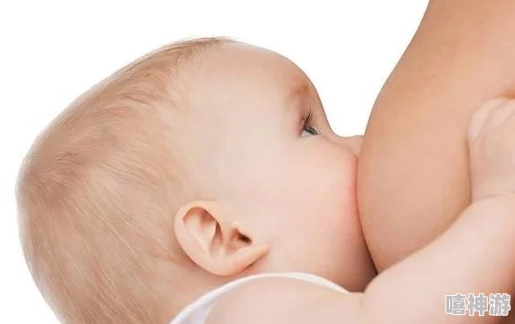 改造催乳装置瓶子，提升母乳喂养体验的创新方法与实用技巧分享